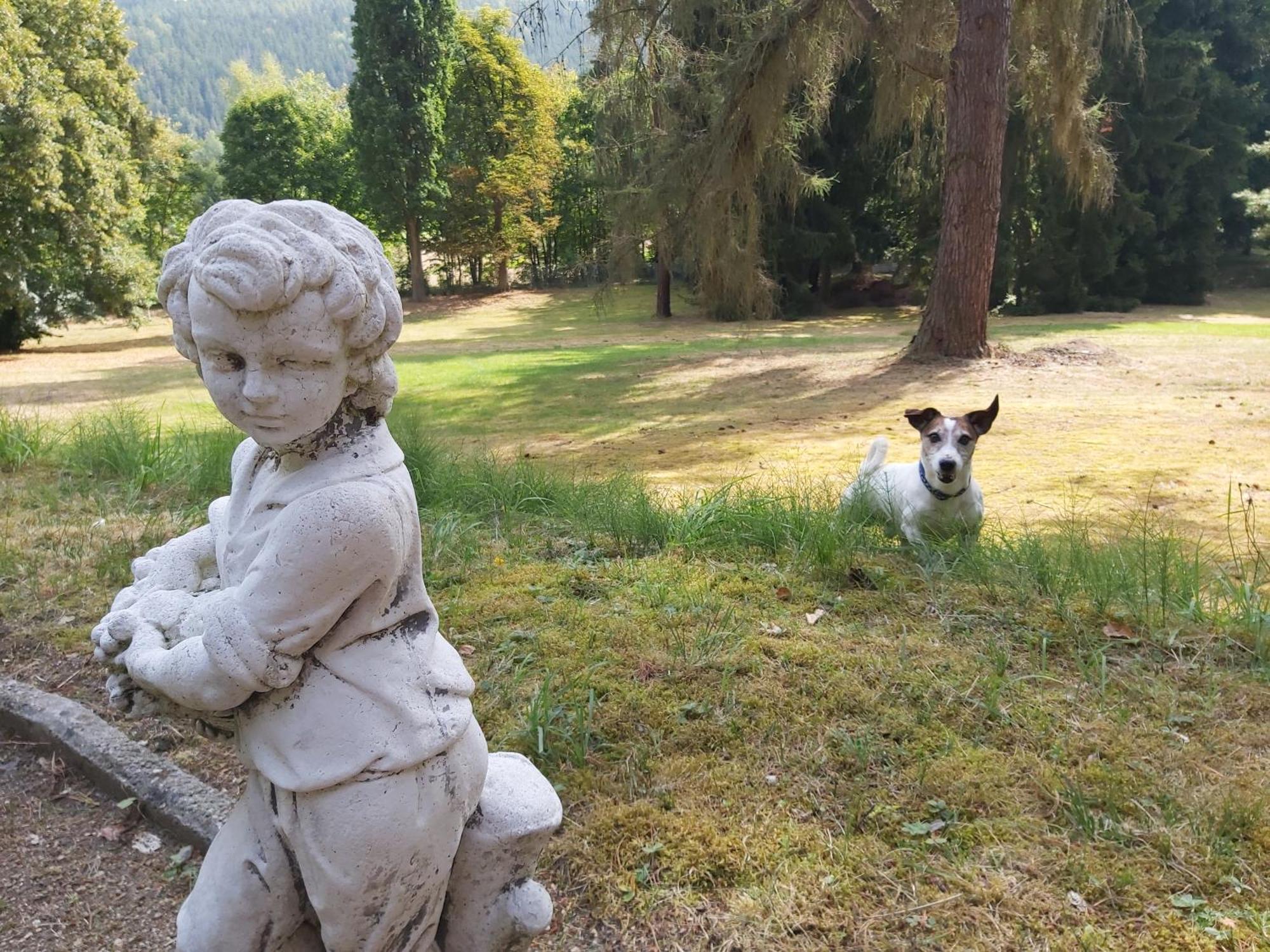 Hotel U Zamecku Cihelny Karlovy Vary Bagian luar foto